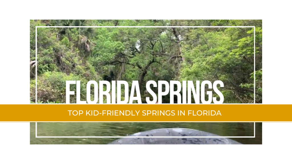 Top Kid-Friendly Springs in Florida